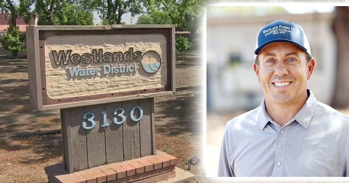 Westlands board taps Howe to fill vacancy