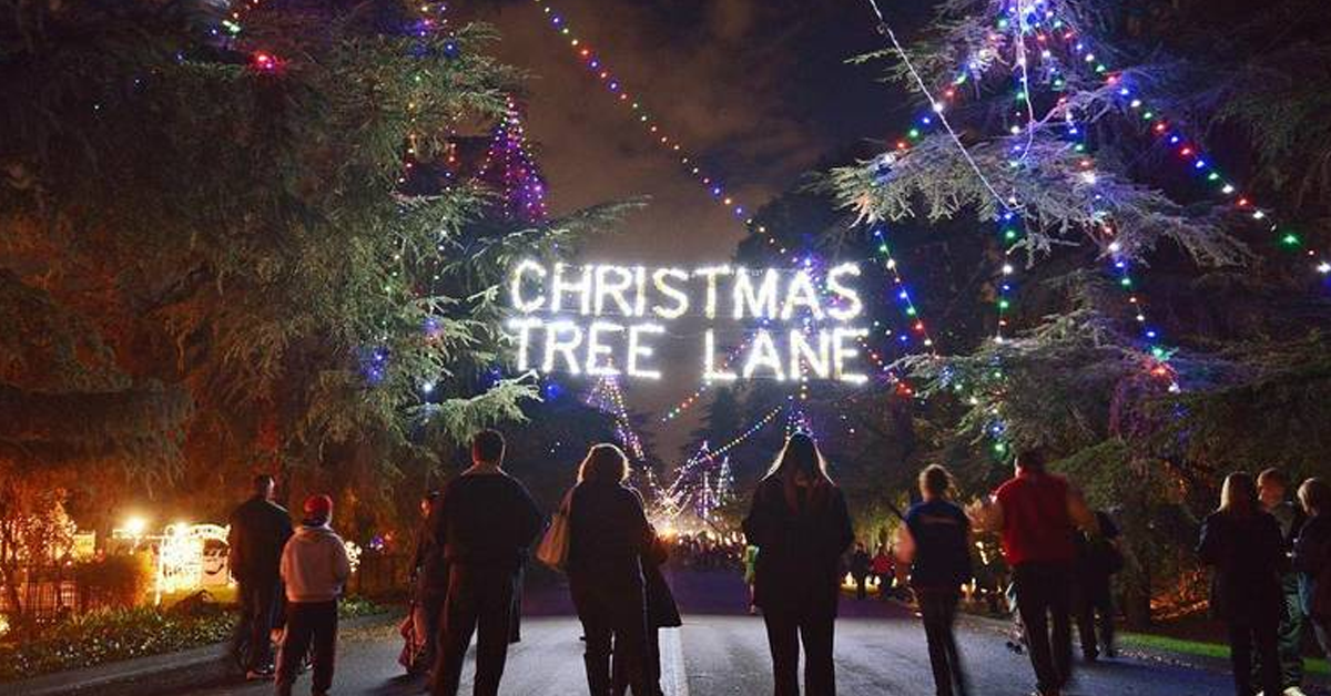 97 years later, Christmas Tree Lane still lights up Fresno