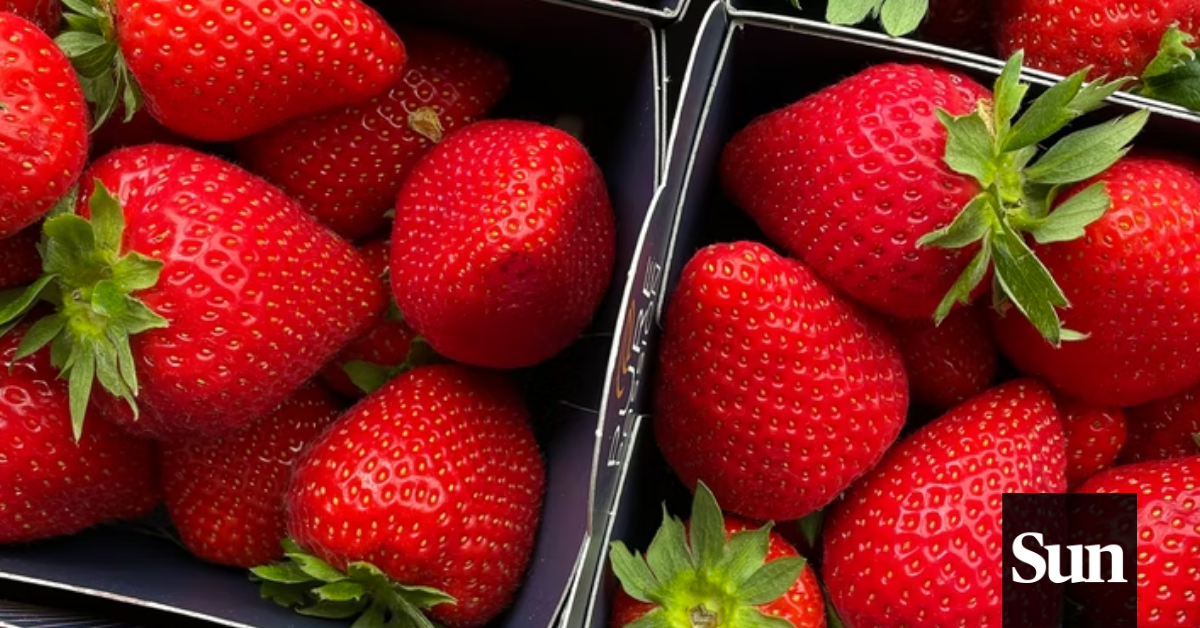 FDA Hepatitis A outbreak tied to strawberries from packer with Valley ties