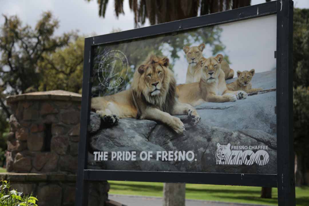 Soma Norodom on LinkedIn: A memorable night at the Fresno Chaffee Zoo's VIP  Preview Party for the…