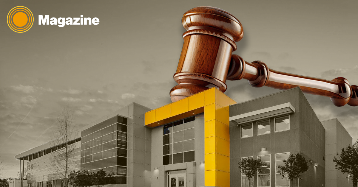 4 Pack Girls Padded Training Bras – Crop Cami Bras for Girls with Removable Padding – The San Joaquin Valley Sun