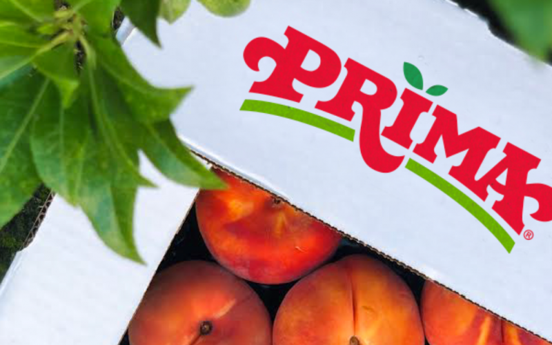 Peaches Are Facing a Crisis