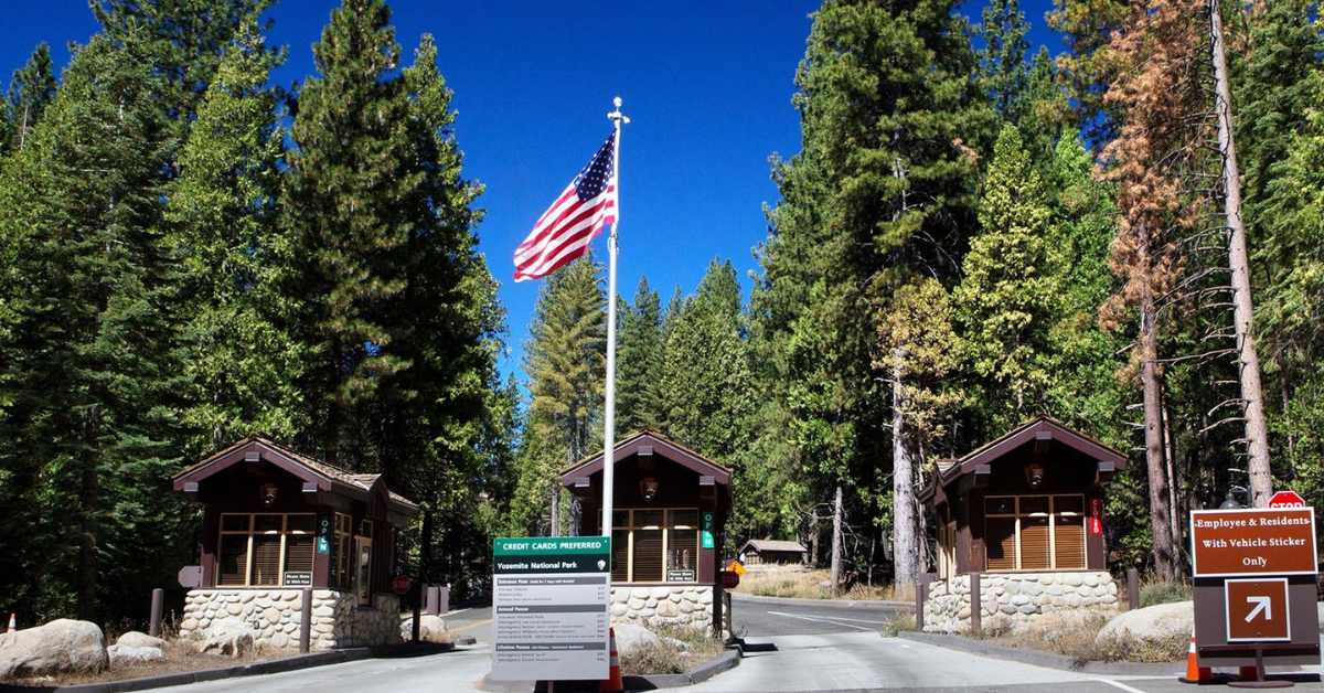 Driver dies evading Yosemite Park Rangers