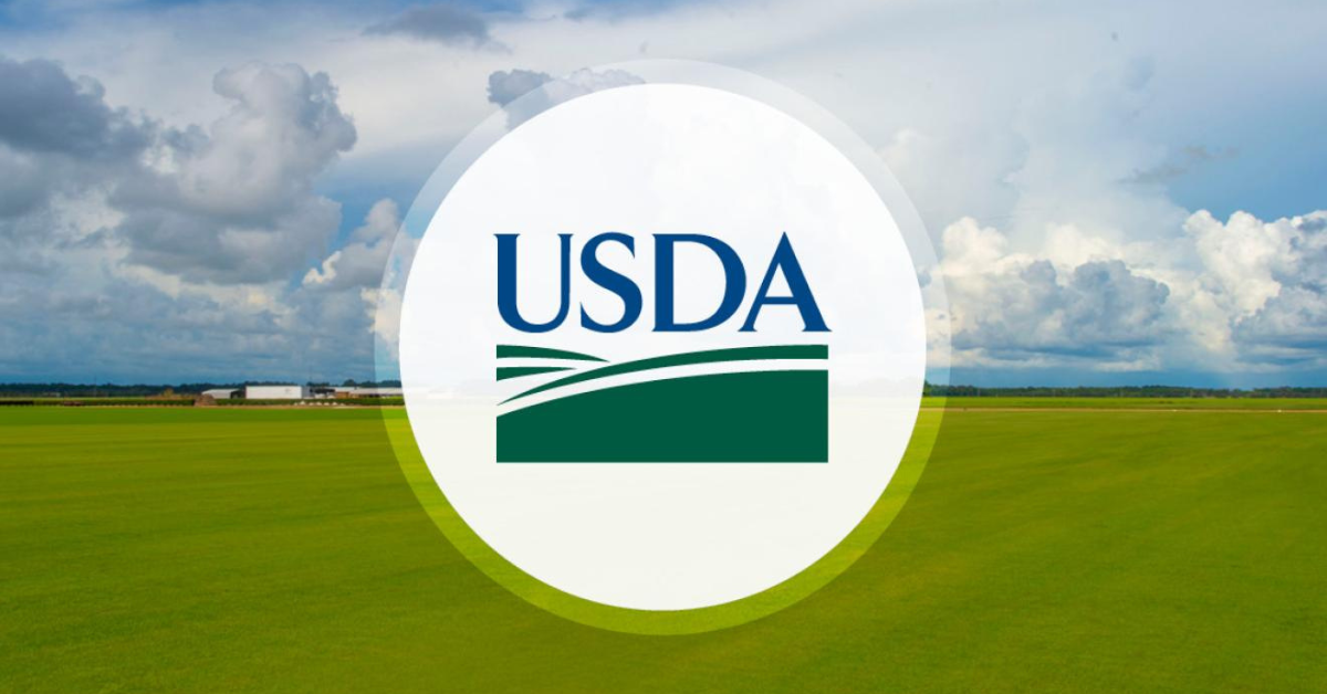 Trump reveals $12 billion aid package to farmers 